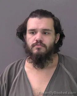 Mugshot of DILLION L SHANNON