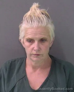 Mugshot of AMBER RENEE ERICKSON