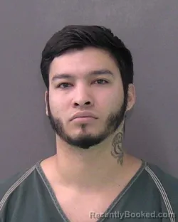 Mugshot of WILLIAM EFREN MONTECINOS CRUZ