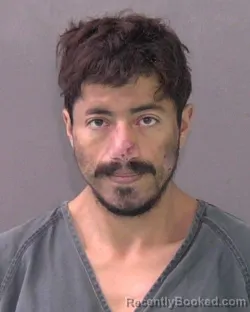 Mugshot of DANIEL ANGEL HERNANDEZ