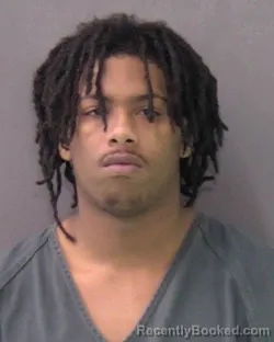 Mugshot of FAYLIN NATHANIEL LEE