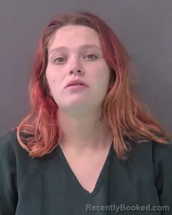 Mugshot of SARAH KRISTEN TYLER