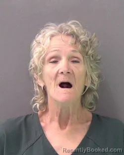 Mugshot of DONNA V OLLER