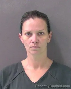 Mugshot of TONI LEE DODDS