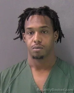 Mugshot of RYAN ZANDEPHER ROBINSON