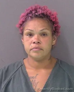 Mugshot of ANA ALICIA CORTEZ