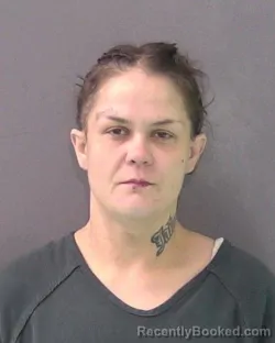 Mugshot of BROOK MICHELLE PRIESTLEY