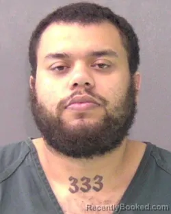 Mugshot of DEMETRIC JOHNSON