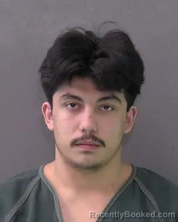 Mugshot of JOSHUA JAMES GIBSON