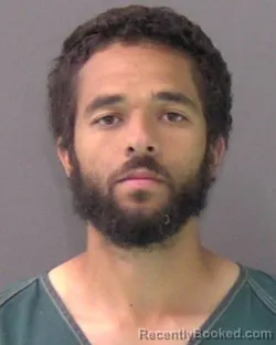 Mugshot of CHANDLER ALAN PEPPERS