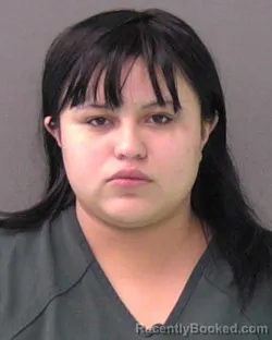 Mugshot of JOHANNA VERALY PORTILLO GUEVARA