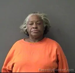 Mugshot of DORA CASTILLO STRIPLING