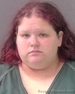 Mugshot of AMANDA HOWLAND