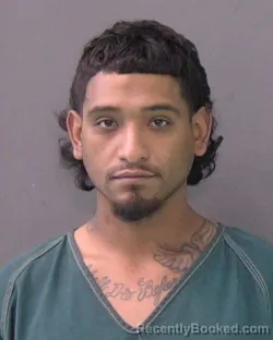 Mugshot of MANUEL JUNIOR HERNANDEZ