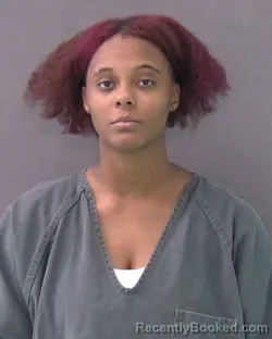 Mugshot of TALIYAH DIANE TAPLIN booked in Bell County, Texas on March 29, 2026