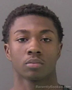 Mugshot of DAMOND TIONE HOLLINS booked in Bell County, Texas on March 31, 2026