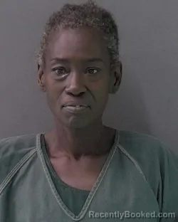 Mugshot of KATRINA TANESHA ANDERSON booked in Bell County, Texas on April 23, 2026