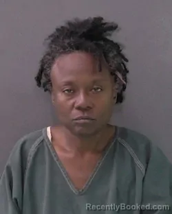 Mugshot of YVONNE MICHELLE NELSON booked in Bell County, Texas on April 24, 2026
