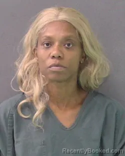 Mugshot of ADRIENNE LATRICE BARNES booked in Bell County, Texas on April 28, 2026