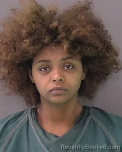 Mugshot of CEONNA AMORIE LEE booked in Bell County, Texas on April 28, 2026