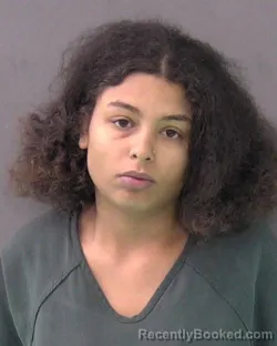Mugshot of ARIANNA SYMONE ZONA booked in Bell County, Texas on May 12, 2026