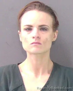 Mugshot of MONICA ANN WINDHAM booked in Bell County, Texas on May 19, 2026