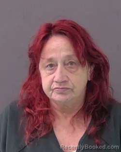 Mugshot of CHERRY MICHELLE LANE booked in Bell County, Texas on May 20, 2026
