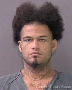 Booking photo from Bell County, Texas
