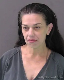 Mugshot of REBECCA FLORENE HORNSEY booked in Bell County, Texas on June 11, 2026