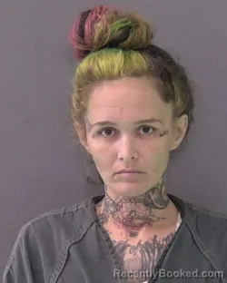 Mugshot of BRITTANY MONICA HICKSON booked in Bell County, Texas on June 12, 2026