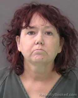 Mugshot of HEATHER DAWN EVANS booked in Bell County, Texas on June 13, 2026