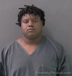 Mugshot of DEMONTRAE LEESHOWN TAYLOR booked in Bell County, Texas on June 14, 2026