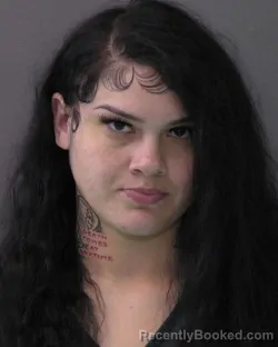 Mugshot of KAYLIE RENEE MEZA booked in Bell County, Texas on June 17, 2026