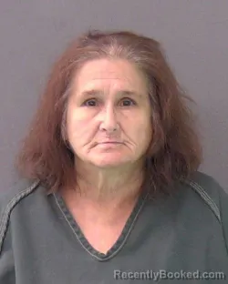 Mugshot of VELVET DENISE DODSON booked in Bell County, Texas on June 17, 2026