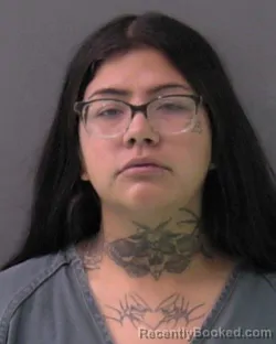 Mugshot of SHANDY GONZALES booked in Bell County, Texas on June 19, 2026
