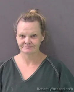 Mugshot of JAMIE LYNN BROWN booked in Bell County, Texas on June 23, 2026