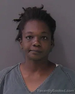 Mugshot of SAMANTHA LEEANN BANKS booked in Bell County, Texas on June 24, 2026