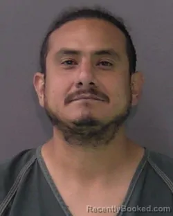 Mugshot of STEPHEN TORRES booked in Bell County, Texas on June 24, 2026