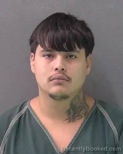 Booking photo from Bell County, Texas