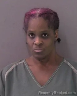 Mugshot of TANISHA JANNELL RAYSON booked in Bell County, Texas on July 2, 2026
