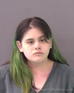 Mugshot of Anita Maria Guzman booked in Bell County, Texas on July 25, 2026