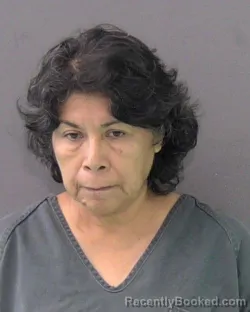 Mugshot of Virginia Prado Jimenez booked in Bell County, Texas on July 25, 2026