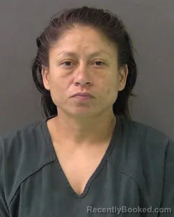 Mugshot of Felicia Nicole Martinez booked in Bell County, Texas on July 27, 2026