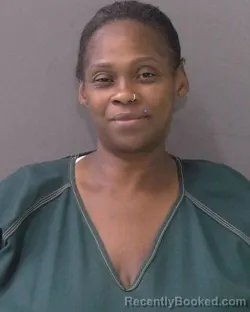 Mugshot of Quintura Lanell Johnson booked in Bell County, Texas on July 29, 2026