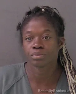 Mugshot of Nikita Leann Ford booked in Bell County, Texas on July 29, 2026