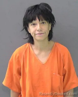 Mugshot of Daniella Castro booked in Bell County, Texas on July 30, 2026