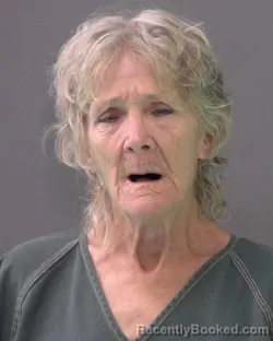 Mugshot of Donna Vining Oller booked in Bell County, Texas on August 4, 2026