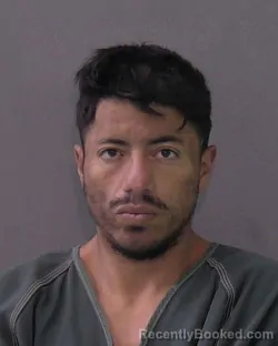 Mugshot of Daniel Angel Hernandez booked in Bell County, Texas on August 5, 2026