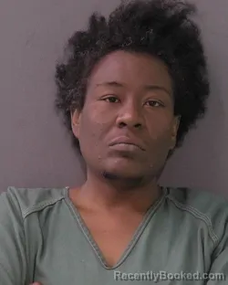 Mugshot of Tamara Denise Rollins booked in Bell County, Texas on August 7, 2026
