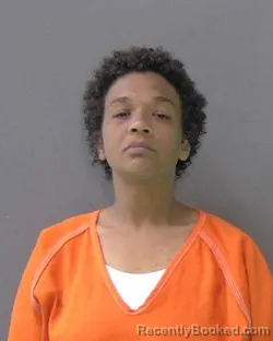 Mugshot of Dayshia Jaden Alexis Hodge booked in Bell County, Texas on August 14, 2026